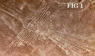 Les Lignes de Nazca