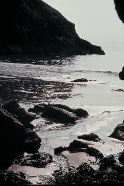 Seal Cove, Cwmtydu